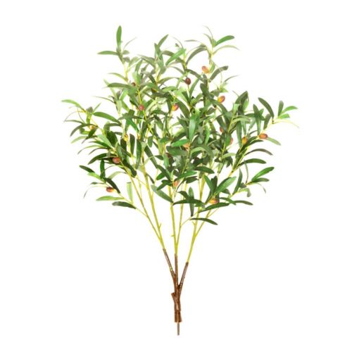 85cm MultiBranch Olive Branch