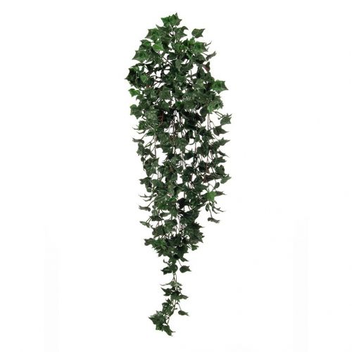 85cm (3ft) Green English Ivy