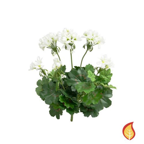 38cm Plants Flowering Geranium White (Fire Resistant)