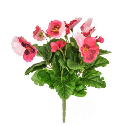 28cm Flowering Pansy Bush Large - Pink 